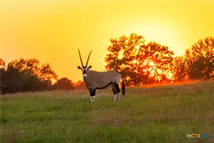 10326 Cr 3112 N, Kilgore, TX 75662 - Photo 2