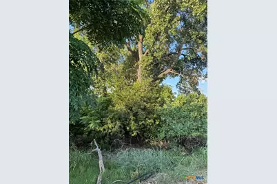 4401 Trimmier Road, Killeen, TX 76542 - Photo 12