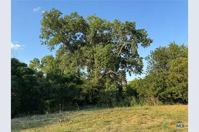 4401 Trimmier Road, Killeen, TX 76542 - Photo 4