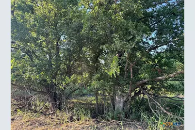 4401 Trimmier Road, Killeen, TX 76542 - Photo 6