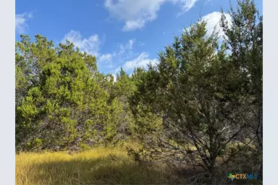 Tbd Cr 304, Bertram, TX 78605 - Photo 14
