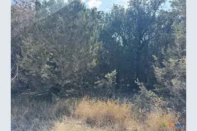 Tbd Cr 304, Bertram, TX 78605 - Photo 4