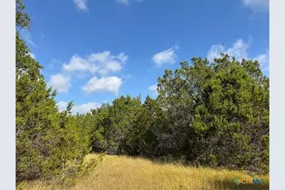 Tbd Cr 304, Bertram, TX 78605 - Photo 1