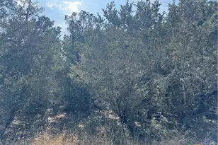 Tbd Cr 304, Bertram, TX 78605 - Photo 6