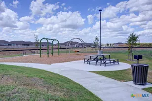 443 Agave Flats Dr, New Braunfels, TX 78130 - Photo 30