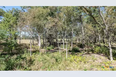 204 Little Branch Lane, Cameron, TX 76520 - Photo 18