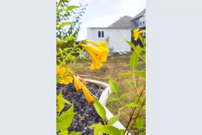 3615 Addison Street, Killeen, TX 76542 - Photo 48