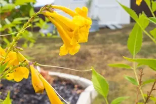 3615 Addison St, Killeen, TX 76542 - Photo 48