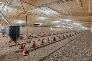 6492 State Hwy 304, Harwood, TX 78632 - Photo 16