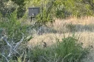 0 County Road 2773, Lometa, TX 76853 - Photo 18