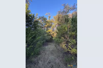 0 County Road 2773, Lometa, TX 76853 - Photo 26