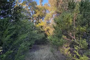 0 County Road 2773, Lometa, TX 76853 - Photo 26