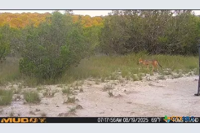 0 County Road 2773, Lometa, TX 76853 - Photo 24
