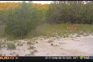 0 County Road 2773, Lometa, TX 76853 - Photo 24