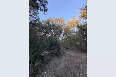 0 County Road 2773, Lometa, TX 76853 - Photo 22