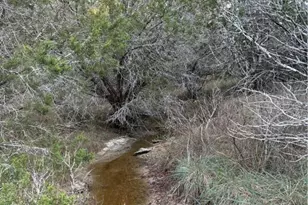 0 County Road 2773, Lometa, TX 76853 - Photo 8