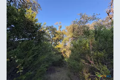 0 County Road 2773, Lometa, TX 76853 - Photo 20