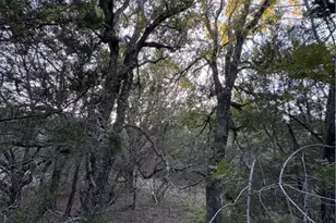 0 County Road 2773, Lometa, TX 76853 - Photo 10