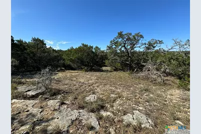 1040 Pinon Pass, Fischer, TX 78623 - Photo 4