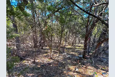 426 Clay Ridge Ridge, Canyon Lake, TX 78133 - Photo 4