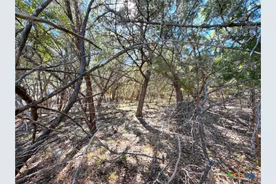 426 Clay Ridge Ridge, Canyon Lake, TX 78133 - Photo 6