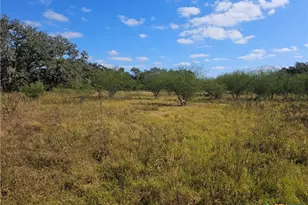 Tbd Fm 622, Goliad, TX 77963 - Photo 2