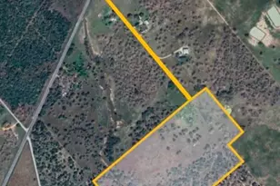 Tbd Fm 622, Goliad, TX 77963 - Photo 6