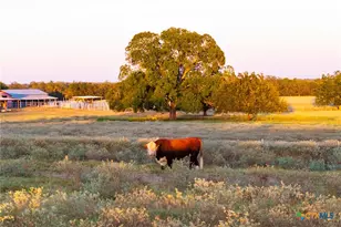 1155 Fm 2438, Seguin, TX 78155 - Photo 2