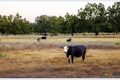 1155 Fm 2438, Seguin, TX 78155 - Photo 42