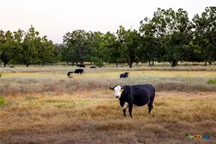 1155 Fm 2438, Seguin, TX 78155 - Photo 42