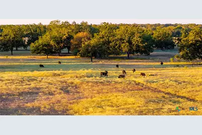 1155 Fm 2438, Seguin, TX 78155 - Photo 16