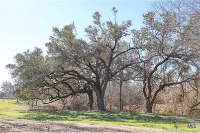 511 Cr 362 #Lot 3, Shiner, TX 77984 - Photo 4