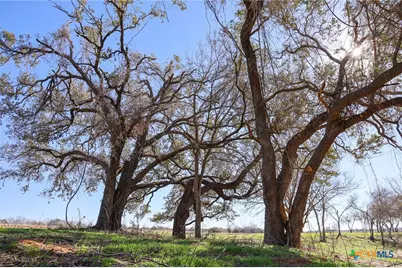 511 Cr 362 #Lot 3, Shiner, TX 77984 - Photo 2