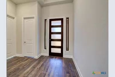 1668 Seekat Drive, New Braunfels, TX 78132 - Photo 2