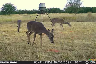 23651 Wolfridge Rd, Killeen, TX 76549 - Photo 44