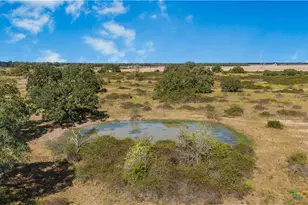 1733 Co Rd 284, Edna, TX 77957 - Photo 12