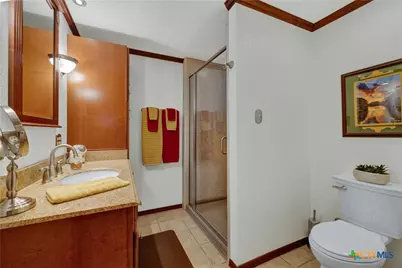 1631 Cattail, Canyon Lake, TX 78133 - Photo 16