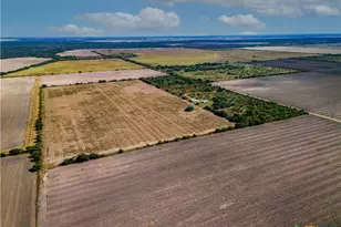 2371 Co Rd 275, Ganado, TX 77962 - Photo 6