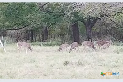 Tbd Vilas Road, Holland, TX 76534 - Photo 14