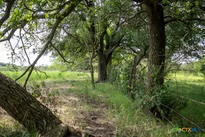 000 Meier Settlement Road, Riesel, TX 76682 - Photo 6