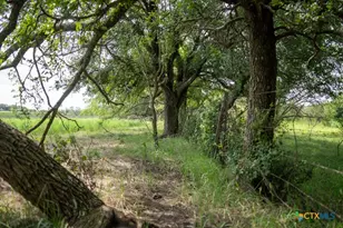 000 Meier Settlement Rd, Riesel, TX 76682 - Photo 6