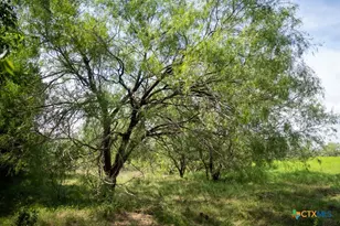 000 Meier Settlement Rd, Riesel, TX 76682 - Photo 10