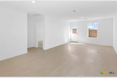 316 Alligator Creek, Seguin, TX 78155 - Photo 6