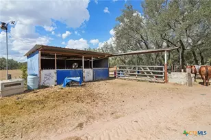 3001 Curry Rd, Seguin, TX 78155 - Photo 36