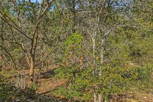 3908 Holt Dr, Austin, TX 78749 - Photo 22