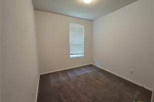 334 Mistflower, New Braunfels, TX 78130 - Photo 14