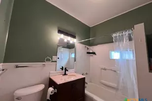 163 N Sycamore Ave, New Braunfels, TX 78130 - Photo 14