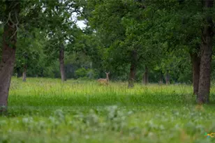 190 Turnaround Rd, Seguin, TX 78155 - Photo 22