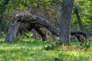190 Turnaround Rd, Seguin, TX 78155 - Photo 24