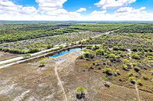 3498 Co Rd 215, Falls City, TX 78113 - Photo 38